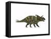 Albertaceratops Dinosaur from the Upper Cretaceous Era-null-Framed Stretched Canvas