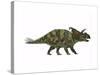 Albertaceratops Dinosaur from the Upper Cretaceous Era-null-Stretched Canvas