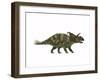 Albertaceratops Dinosaur from the Upper Cretaceous Era-null-Framed Art Print