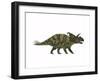 Albertaceratops Dinosaur from the Upper Cretaceous Era-null-Framed Art Print