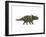 Albertaceratops Dinosaur from the Upper Cretaceous Era-null-Framed Art Print