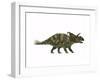 Albertaceratops Dinosaur from the Upper Cretaceous Era-null-Framed Art Print