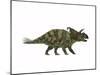 Albertaceratops Dinosaur from the Upper Cretaceous Era-null-Mounted Art Print