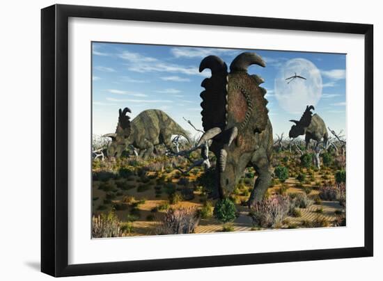 Albertaceratops Dinosaurs Grazing-null-Framed Art Print