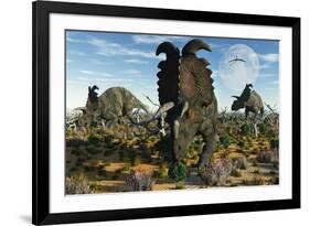 Albertaceratops Dinosaurs Grazing-null-Framed Art Print