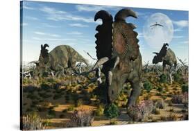 Albertaceratops Dinosaurs Grazing-null-Stretched Canvas