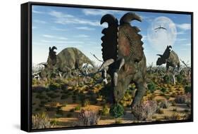 Albertaceratops Dinosaurs Grazing-null-Framed Stretched Canvas