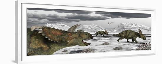 Albertaceratops During their Winter Migration-Stocktrek Images-Framed Premium Giclee Print