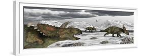 Albertaceratops During their Winter Migration-Stocktrek Images-Framed Premium Giclee Print