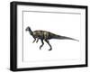 Albertadromeus Syntarsus, Late Cretaceous of Canada-null-Framed Art Print