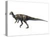 Albertadromeus Syntarsus, Late Cretaceous of Canada-null-Stretched Canvas