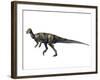 Albertadromeus Syntarsus, Late Cretaceous of Canada-null-Framed Art Print