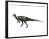 Albertadromeus Syntarsus, Late Cretaceous of Canada-null-Framed Art Print