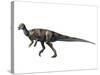 Albertadromeus Syntarsus, Late Cretaceous of Canada-null-Stretched Canvas