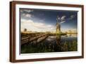 Brown Frame