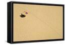 Framed Canvas