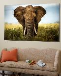 Encounters in Serengeti-Alberto Ghizzi Panizza-Art Print