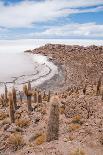 Desert Vegetation on Incahuasi Island in Salar De Uyuni, Bolivia-Alberto Loyo-Mounted Photographic Print
