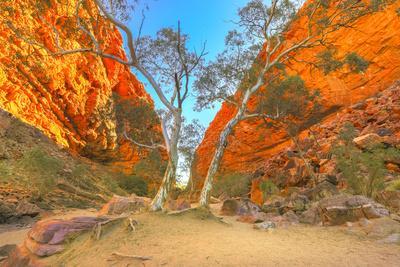 Scenic Simpsons Gap and permanent vegetation in West MacDonnell Ranges, Australia