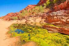 Scenic Simpsons Gap and permanent vegetation in West MacDonnell Ranges, Australia-Alberto Mazza-Photographic Print