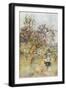Black Frame