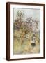 Brown Frame