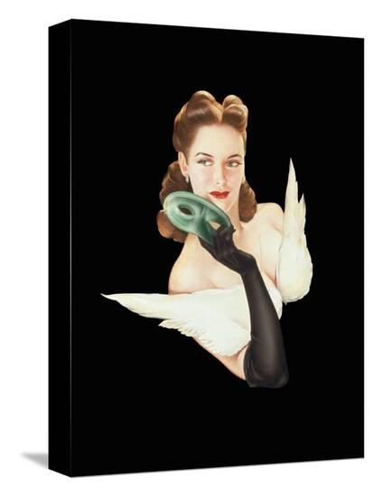 Stretched Canvas Print, , large