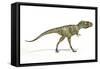 Albertosaurus Dinosaur, Artwork-null-Framed Stretched Canvas