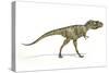 Albertosaurus Dinosaur, Artwork-null-Stretched Canvas