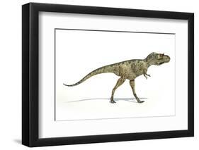 Albertosaurus Dinosaur, Artwork-null-Framed Photographic Print