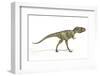 Albertosaurus Dinosaur, Artwork-null-Framed Photographic Print