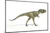 Albertosaurus Dinosaur, Artwork-null-Mounted Photographic Print