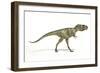 Albertosaurus Dinosaur, Artwork-null-Framed Photographic Print