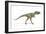 Albertosaurus Dinosaur, Artwork-null-Framed Photographic Print