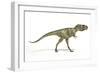 Albertosaurus Dinosaur, Artwork-null-Framed Photographic Print