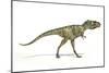 Albertosaurus Dinosaur, Artwork-null-Mounted Photographic Print