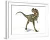 Albertosaurus Dinosaur, Artwork-null-Framed Photographic Print