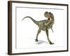 Albertosaurus Dinosaur, Artwork-null-Framed Photographic Print