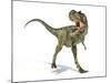 Albertosaurus Dinosaur, Artwork-null-Mounted Photographic Print