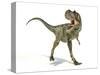 Albertosaurus Dinosaur, Artwork-null-Stretched Canvas