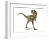 Albertosaurus Dinosaur, Artwork-null-Framed Photographic Print