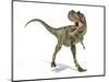 Albertosaurus Dinosaur, Artwork-null-Mounted Photographic Print