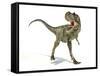 Albertosaurus Dinosaur, Artwork-null-Framed Stretched Canvas