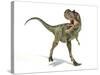 Albertosaurus Dinosaur, Artwork-null-Stretched Canvas