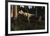 Albertosaurus Sarcophagus Wanders a Prehistoric Forest-null-Framed Art Print