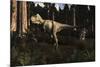 Albertosaurus Sarcophagus Wanders a Prehistoric Forest-null-Mounted Art Print