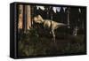 Albertosaurus Sarcophagus Wanders a Prehistoric Forest-null-Framed Stretched Canvas