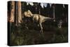 Albertosaurus Sarcophagus Wanders a Prehistoric Forest-null-Stretched Canvas