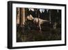 Albertosaurus Sarcophagus Wanders a Prehistoric Forest-null-Framed Art Print