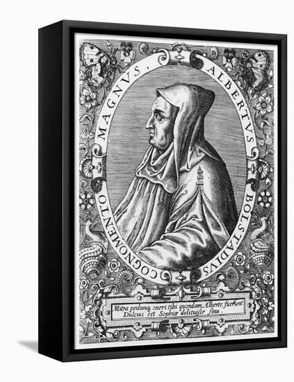 Albertus Magnus-Theodore de Bry-Framed Stretched Canvas